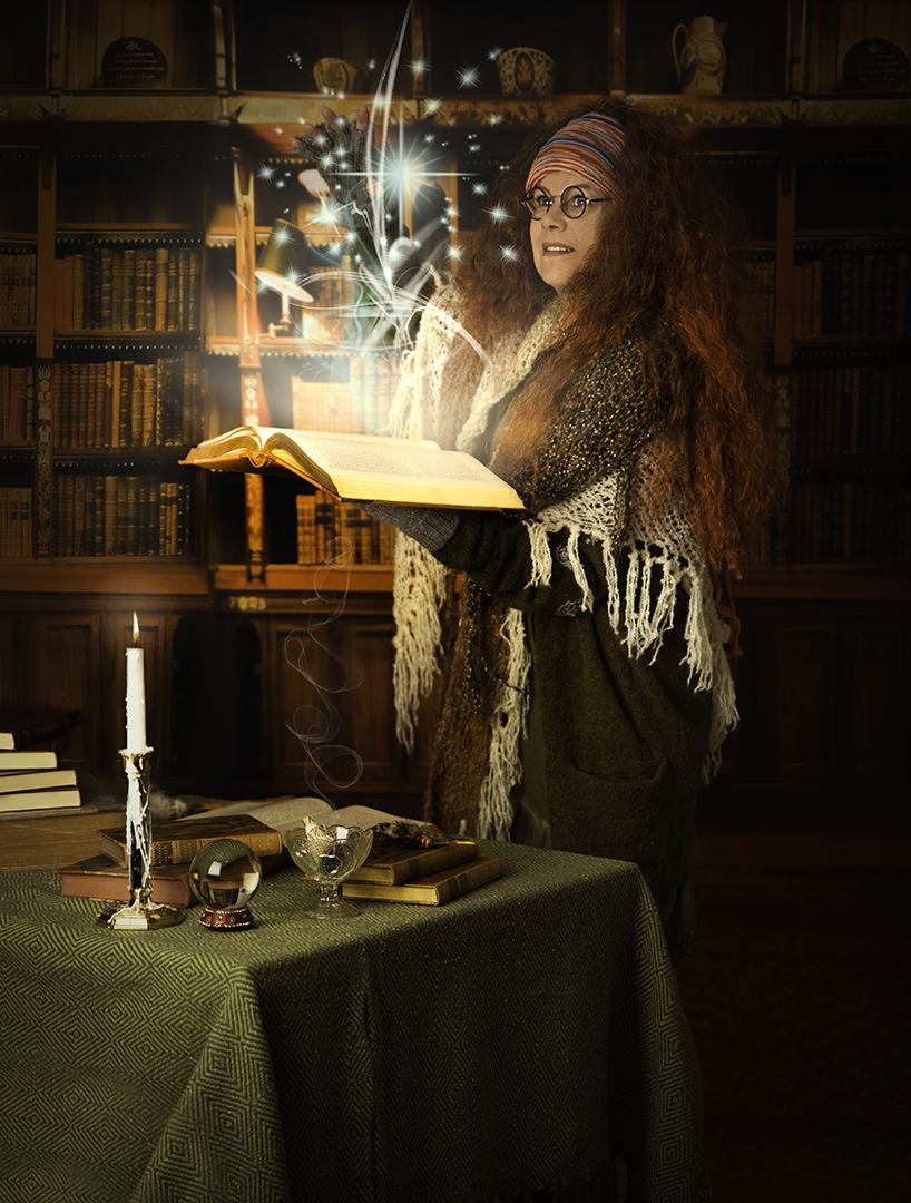 The Librarian3